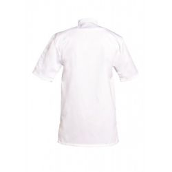 Veste De Cuisine Manches Courtes Lucas